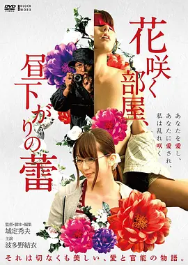 经典电影《霸王别姬》海报